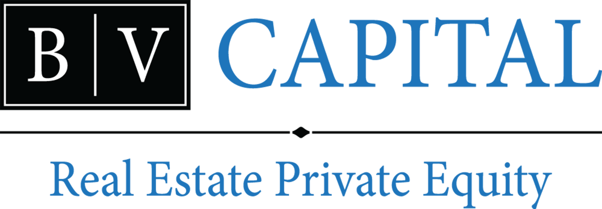 BV Capital Logo